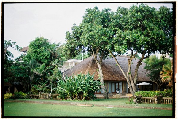 Quelles croisières permettent de découvrir les traditions de pêche au harpon en Polynésie ?