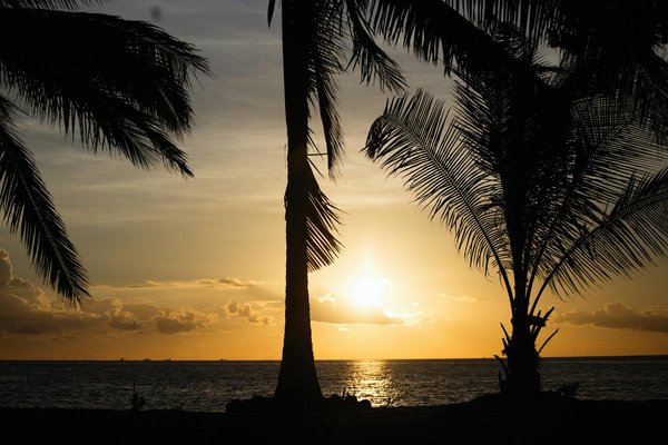 Où participer à une expédition de plongée dans les récifs coralliens de la Grande Barrière de Corail, Australie ?