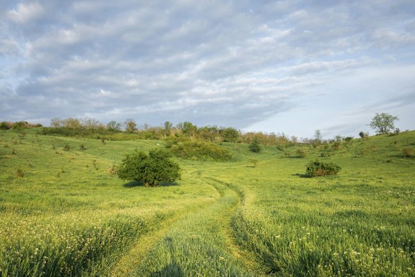 Comment participer à une retraite de méditation dans les temples de Kyoto, Japon ?