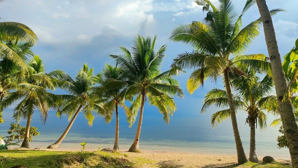 Comment découvrir les traditions culturelles des Sami en Laponie?
