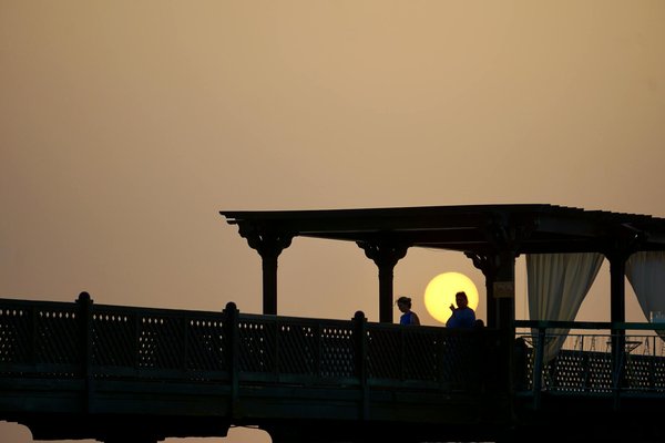 Quels sont les conseils pour une randonnée à travers les vignobles de la Napa Valley, USA?