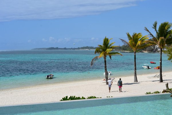Quels sont les meilleurs endroits pour une expérience de plongée avec les requins en Afrique du Sud ?