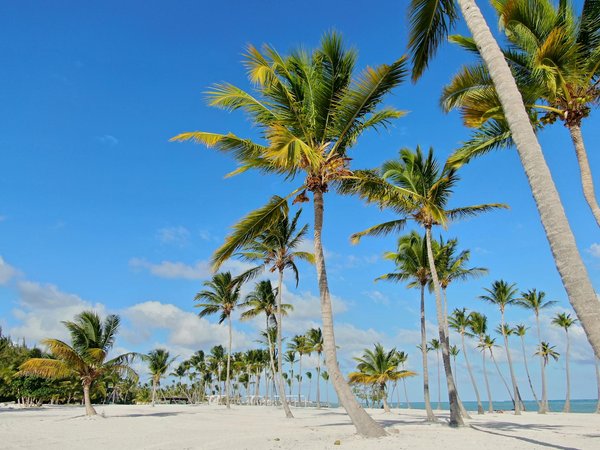Comment choisir une location en Bretagne avec des activités de pêche en haute mer et des visites de phares?