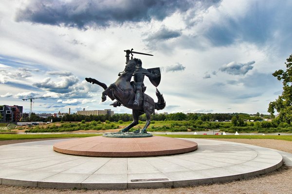 Quels sont les conseils pour une plongée avec les dauphins en Nouvelle-Zélande?