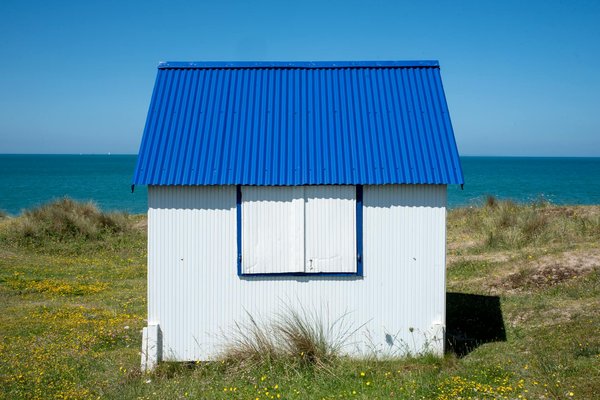 Quelles croisières proposent des excursions pour explorer les parcs nationaux en Patagonie?