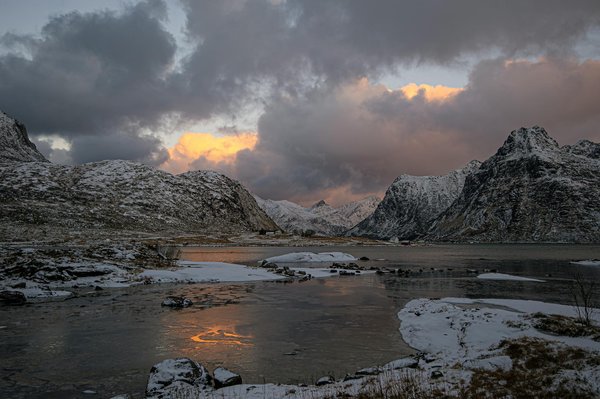 Quels sont les meilleurs endroits pour observer les requins blancs en Afrique du Sud?
