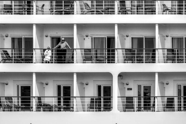 Où pratiquer la plongée avec les requins-baleines aux Seychelles : meilleurs spots et périodes ?