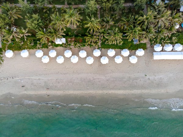 Quelles croisières proposent des séminaires sur la géologie volcanique dans les îles Canaries ?