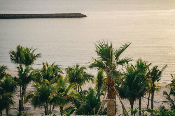 Quels sont les meilleurs spots pour observer les oiseaux dans les Everglades, USA?