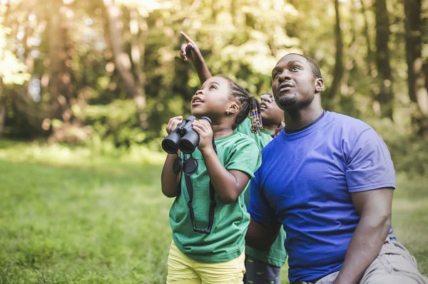 Quelles sont les meilleures pratiques pour un camping respectueux de la nature en zone de montagne?
