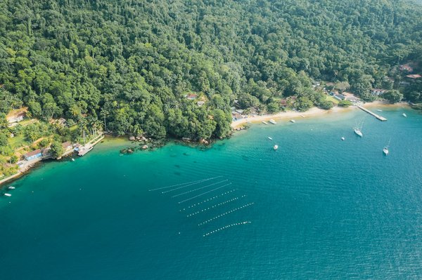 Comment choisir un sac à dos multi-compartiments approprié pour des campings prolongés?