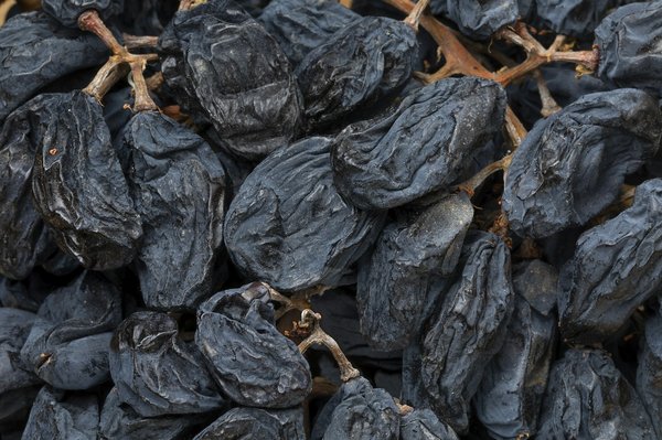 Comment participer à des vendanges ouvertes au public en France ?